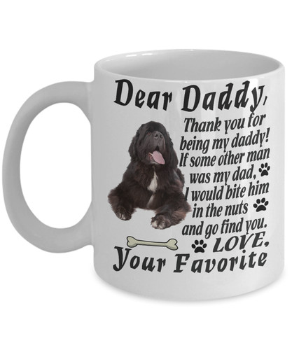 Newfoundland dog - newfoundland,